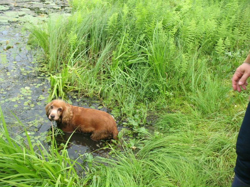 Светлана Сивкова | Сыктывкар