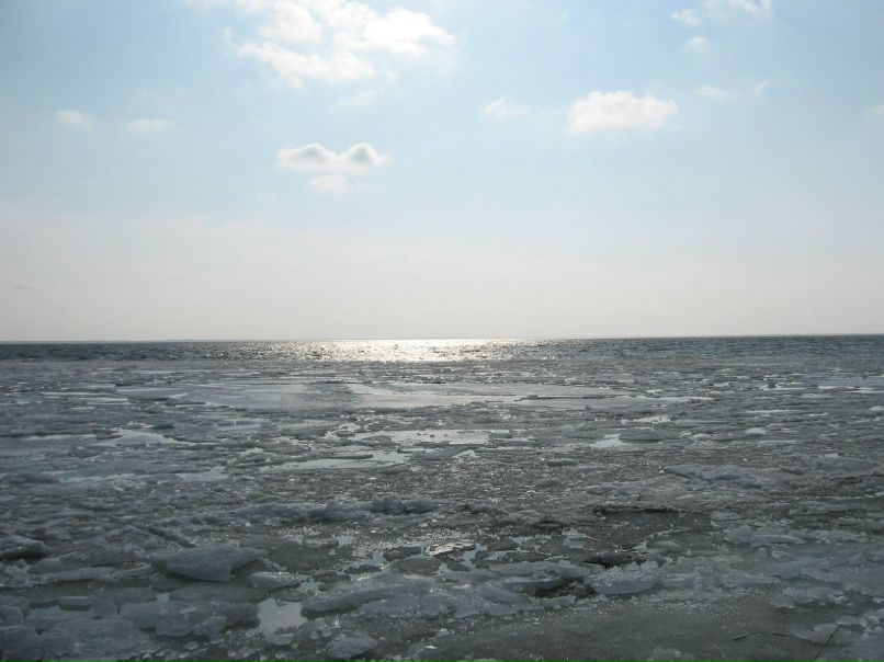 Александр Германчук Zest | Николаев