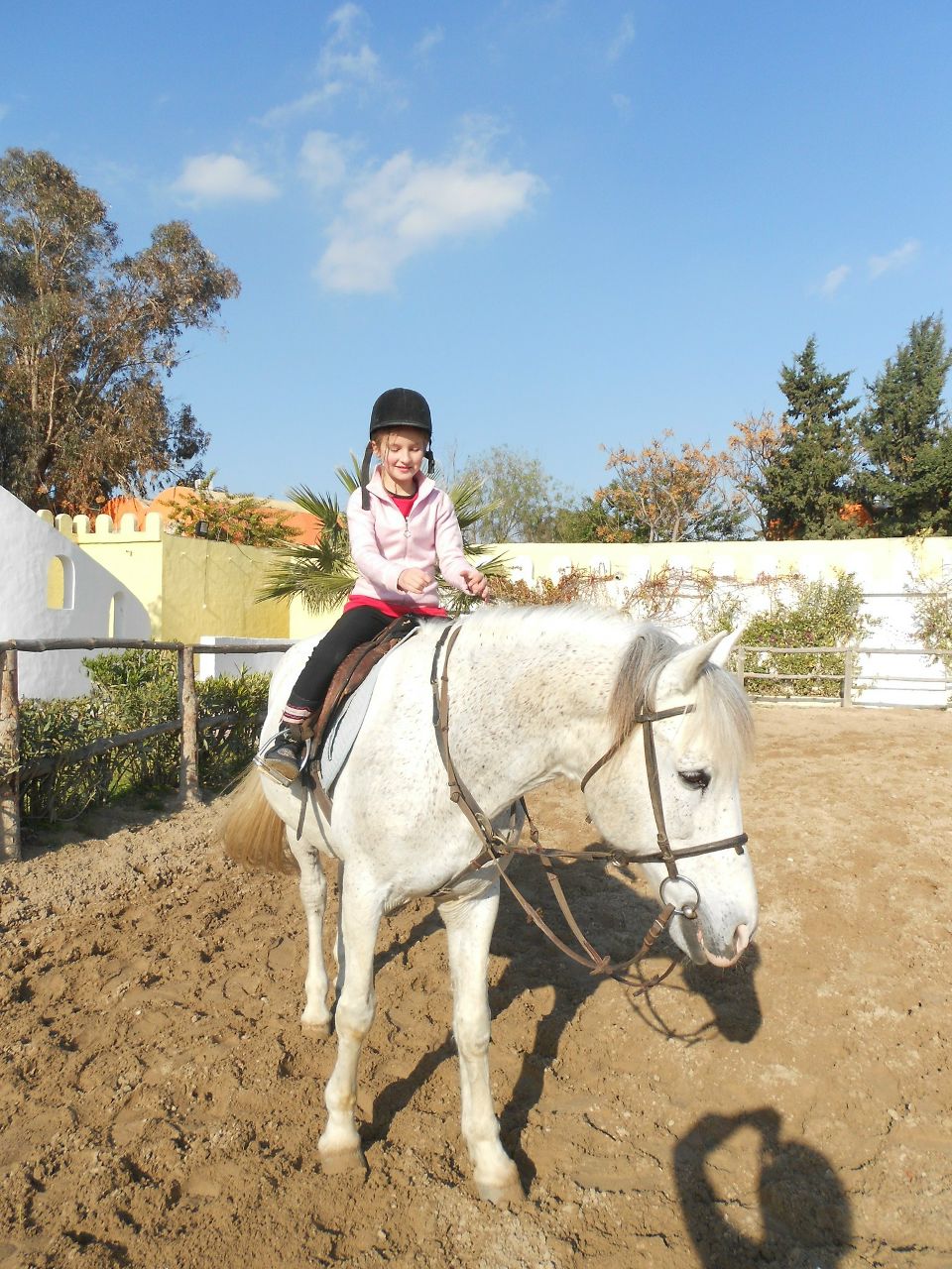 Лизик Сергеева- кошка Стефани | Санкт-Петербург