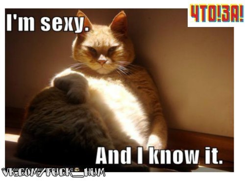 №45, Михаил Комель, 36 лет, Белая Церковь №45, Михаил Комель, 36 лет, Белая Церковь