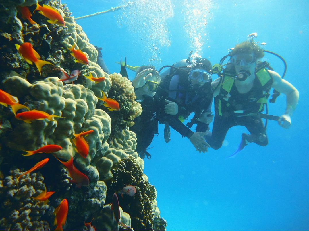 Анатолий Лобода 'Snufi>X< | Минск