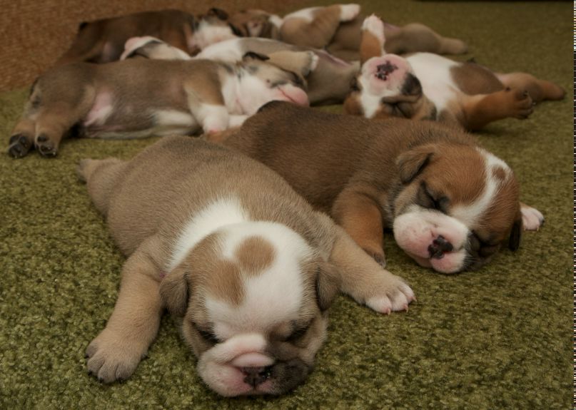 Сергей Александрович | Вологда