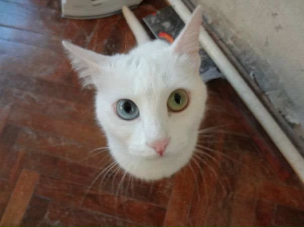 №145, Дашелита Прохорова, 40 лет, Москва №145, Дашелита Прохорова, 40 лет, Москва