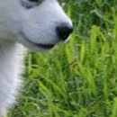 №44, Богдан Куцина, Washington, D.C. №44, Богдан Куцина, Washington, D.C.