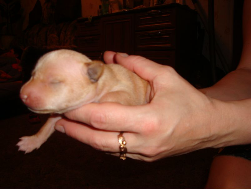 №34, Анна Васильева, Санкт-Петербург №34, Анна Васильева, Санкт-Петербург