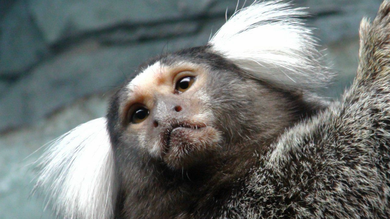 Руслан Колыбский | Москва