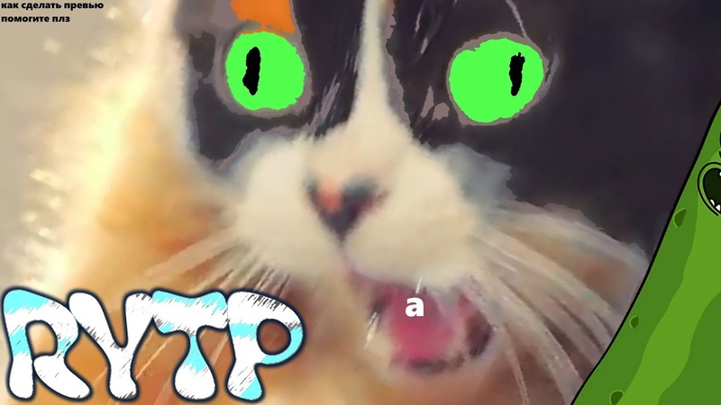 Степа сливки шоу. Степа сливки. Сливки шоу степы больше нет. Сливки шоу куки и степа. Хомяк стëпа.