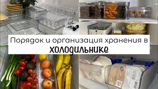 Порядок и организация хранения в ХОЛОДИЛЬНИКЕ
