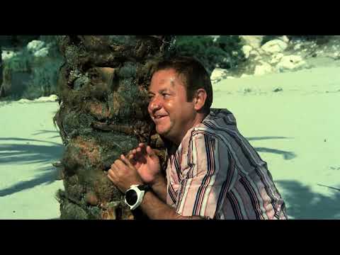 Синьор робинзон 1976 , Комедия, Приключения,