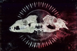Mirrorthrone - The Fecal Rebellion HD