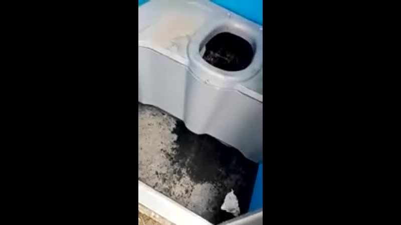 Видео категории