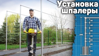 Установка одноплоскостной шпалеры