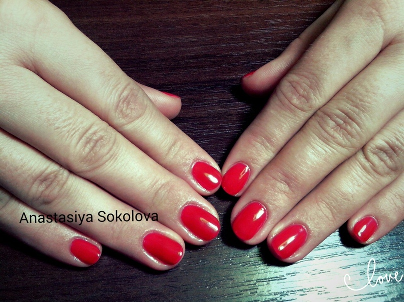 Стася Соколова | Днепр (Днепропетровск)