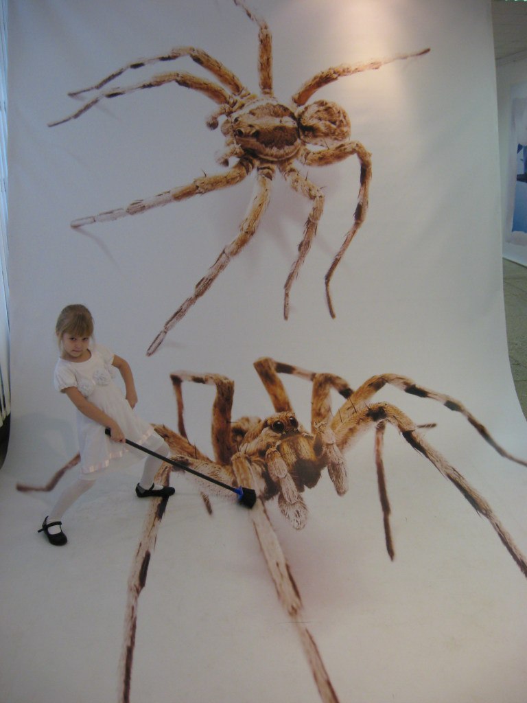 Людмила Антонова | Тольятти