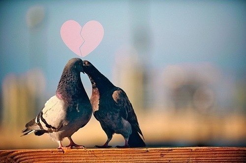 Любовь Сергеевна | Десногорск