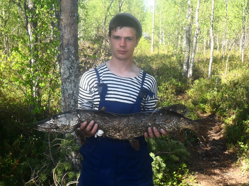 Андрей Красильников | Сосновец