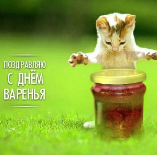 Александр Малинкин Вячеславович | Тюмень