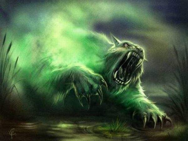 Виталий Самохвалов ~ VS ~ | Новосибирск