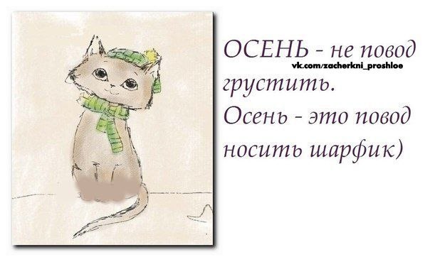 Вероника Беляева | Омск