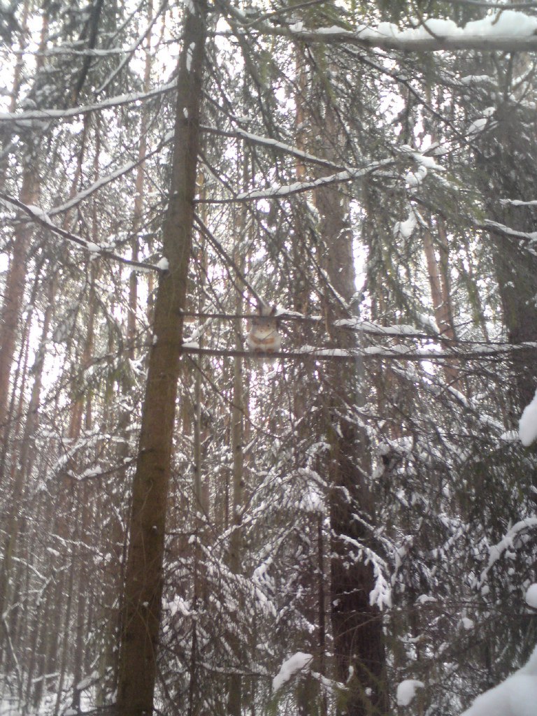 Иван Субботин | Пермь