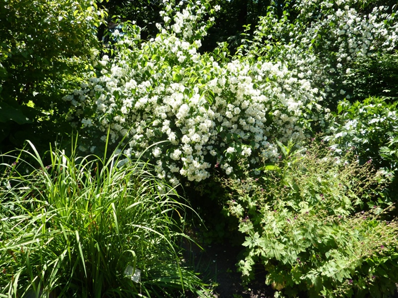 Анна Тарасюк | Москва