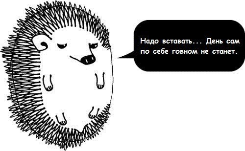 Роман Фёдоров | Екатеринбург