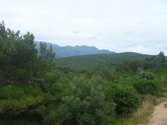 Макс Афанасьев | Санкт-Петербург