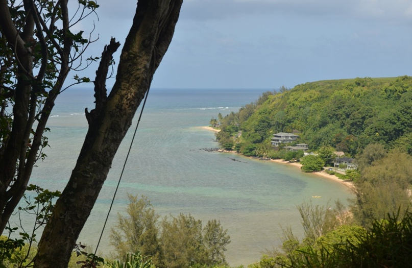 Anna So | Los Angeles