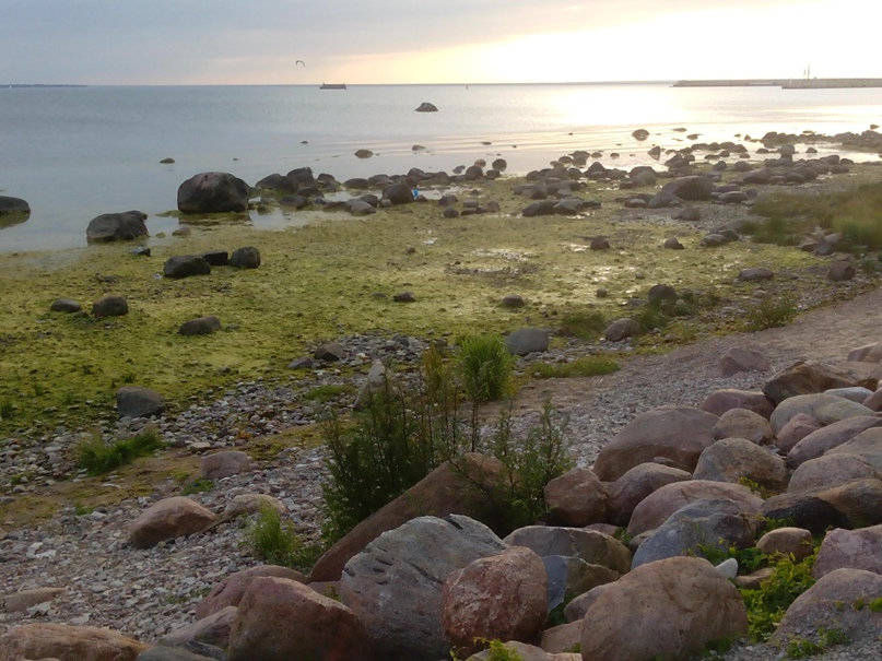 Дарья Прохорова | Москва