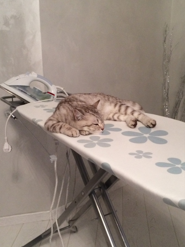 Татьяна Журавель | Минск