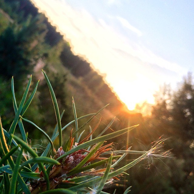 Дарья Корнилова | Санкт-Петербург