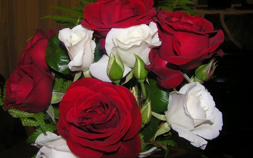 Марина Блинова | Казань