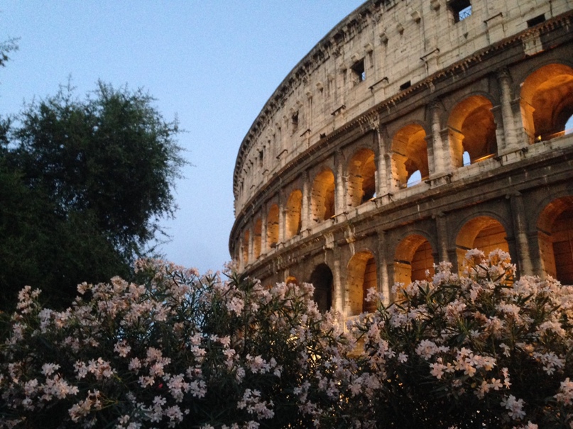 Елена Ларина | Москва
