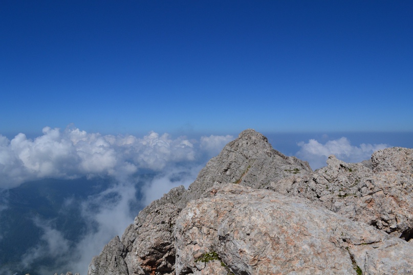 Илья Широков | Краснодар