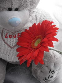 Ирина Скляренко | Донецк