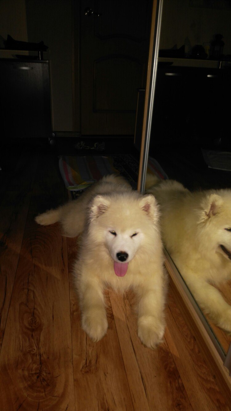 Дмитрий Сапатов | Екатеринбург