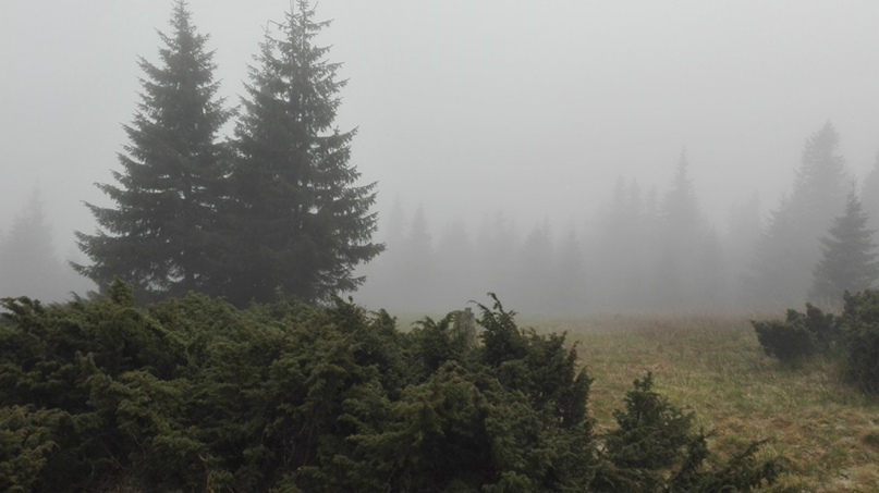 Александр Щербина | Ачинск