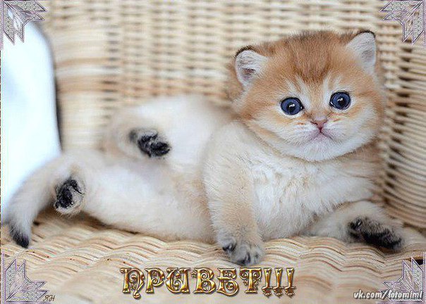 Жанна Алексеева | Киров