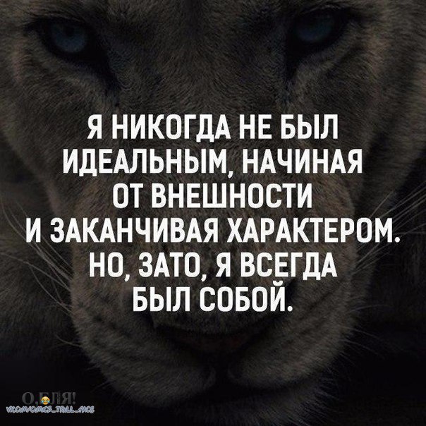 Сергей Калюжный | Славянск