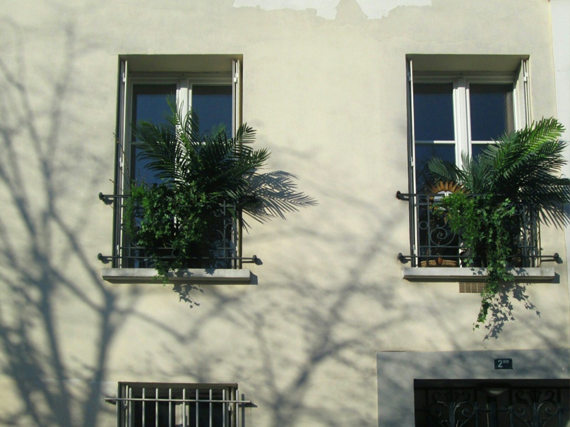 Алиса Малиновская Витальевна | Санкт-Петербург