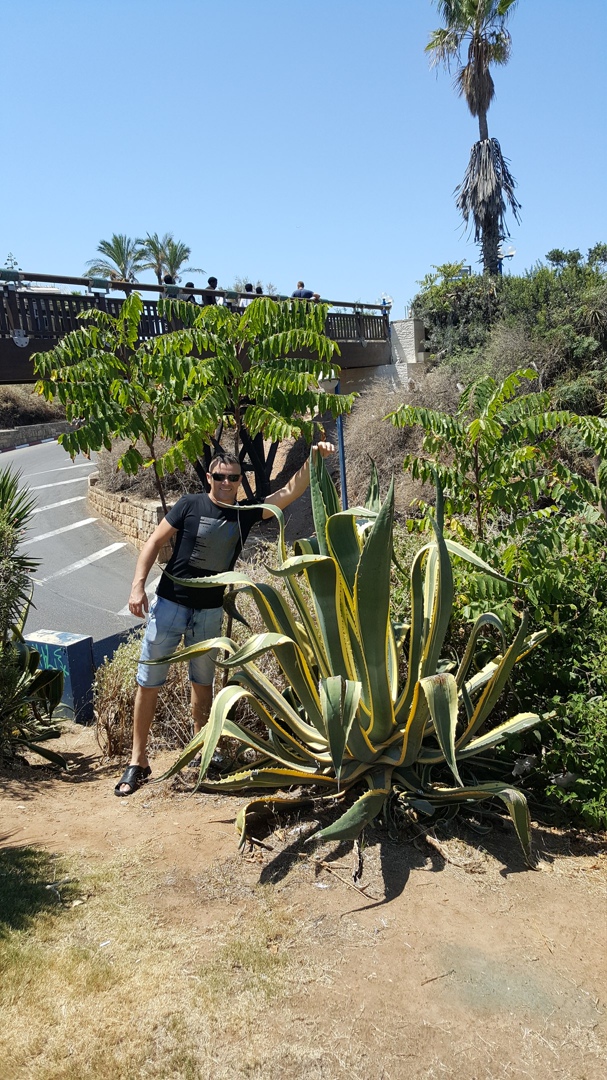 Игорь Феоктистов | Каменское / Днепродзержинск