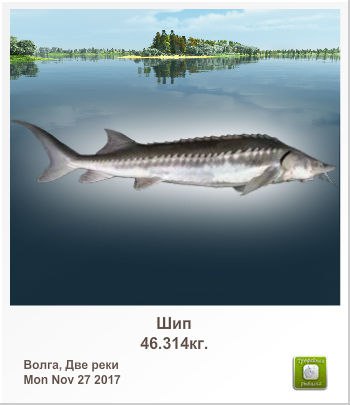 Александр Трефилов | Тольятти