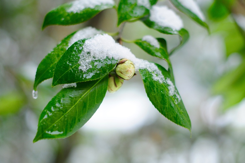 Ирина Грек | Reggio Emilia