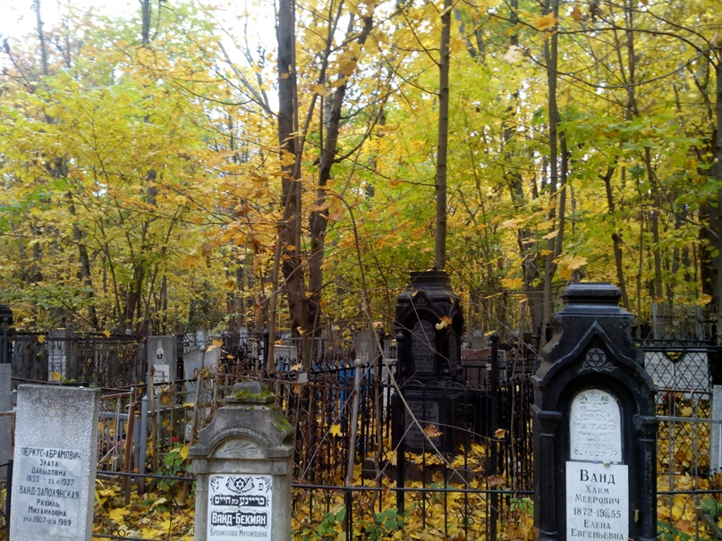 Денис Гордеев | Санкт-Петербург