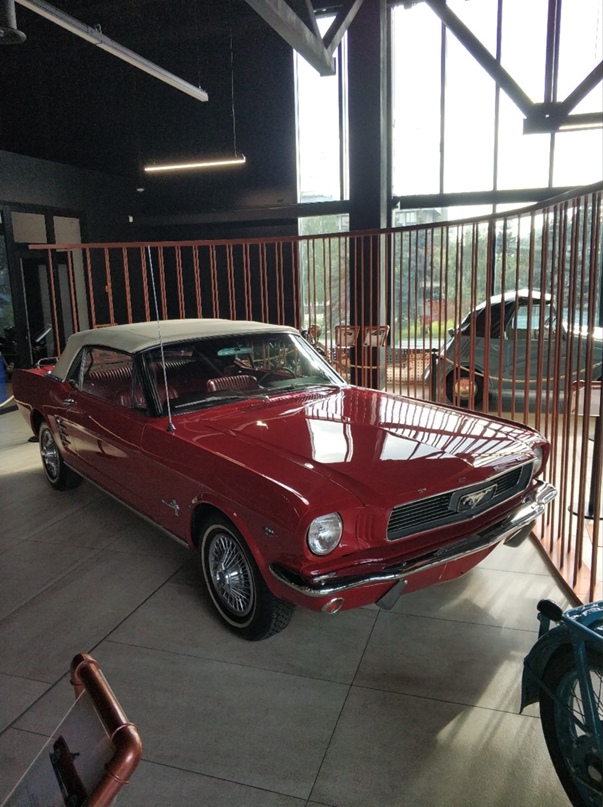 Максим Трубицын | Прокопьевск