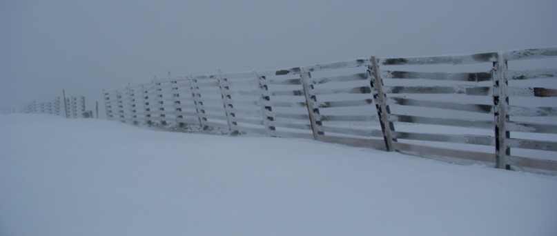 Аюр Максаров | Агинское