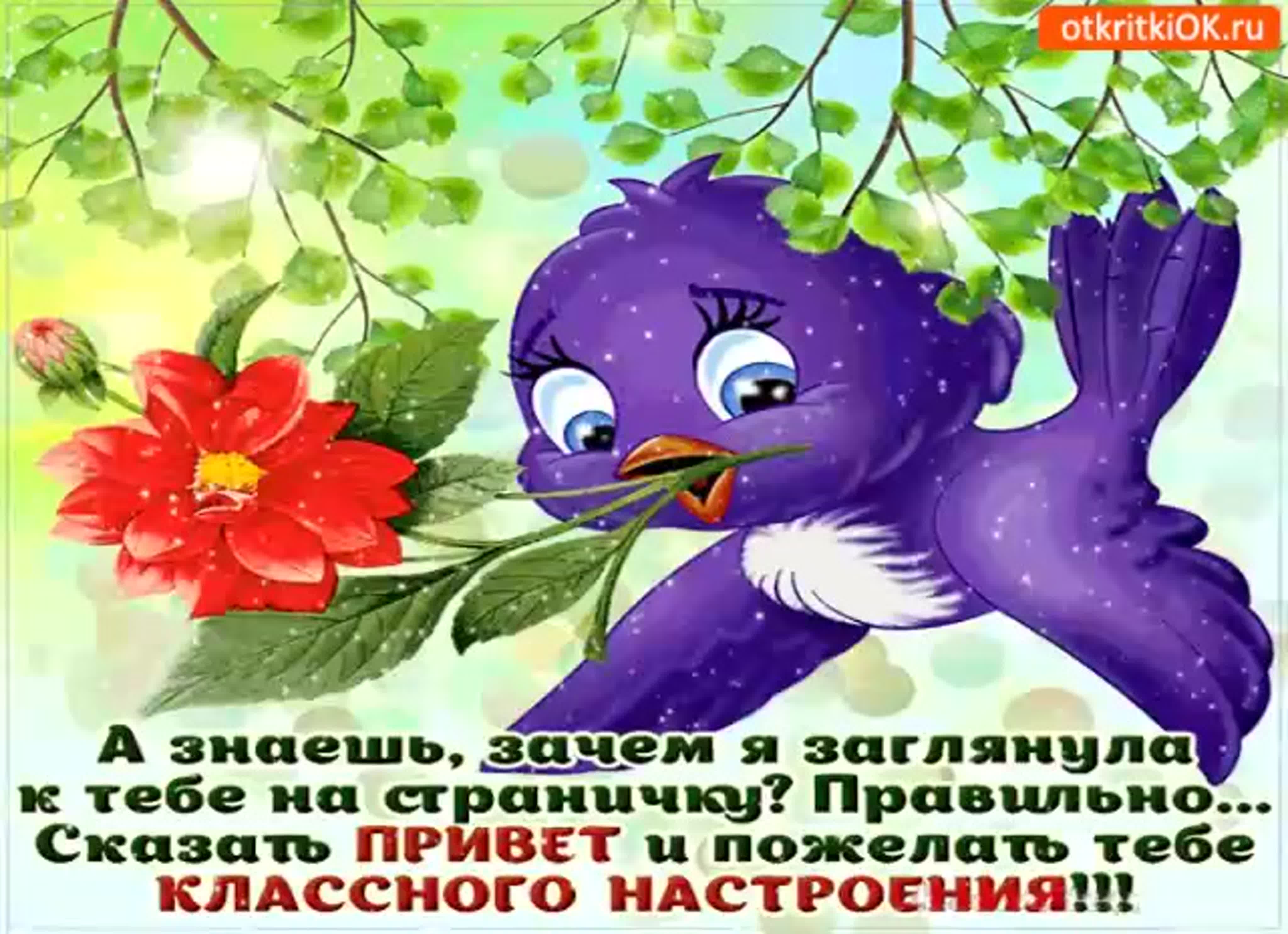 Плейкаст привет земляки watch online
