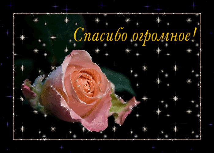 Татьяна Болотина | Ульяновск