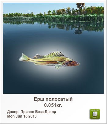 Виталий Белоусов | Кривой Рог