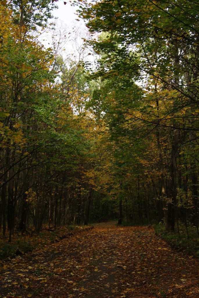 Дмитрий Чернов | Нижний Новгород